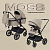 Moss 2025 Beige_01